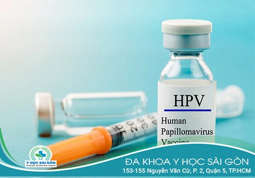 Có mấy loại vaccine HPV?